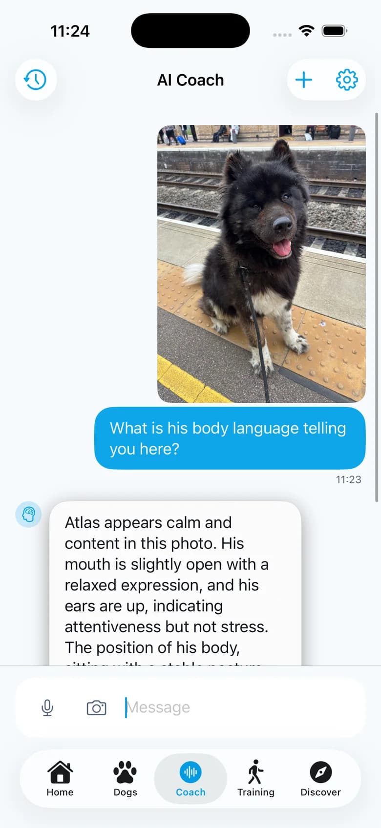 The coach reading a photo of Atlas and describing his body language