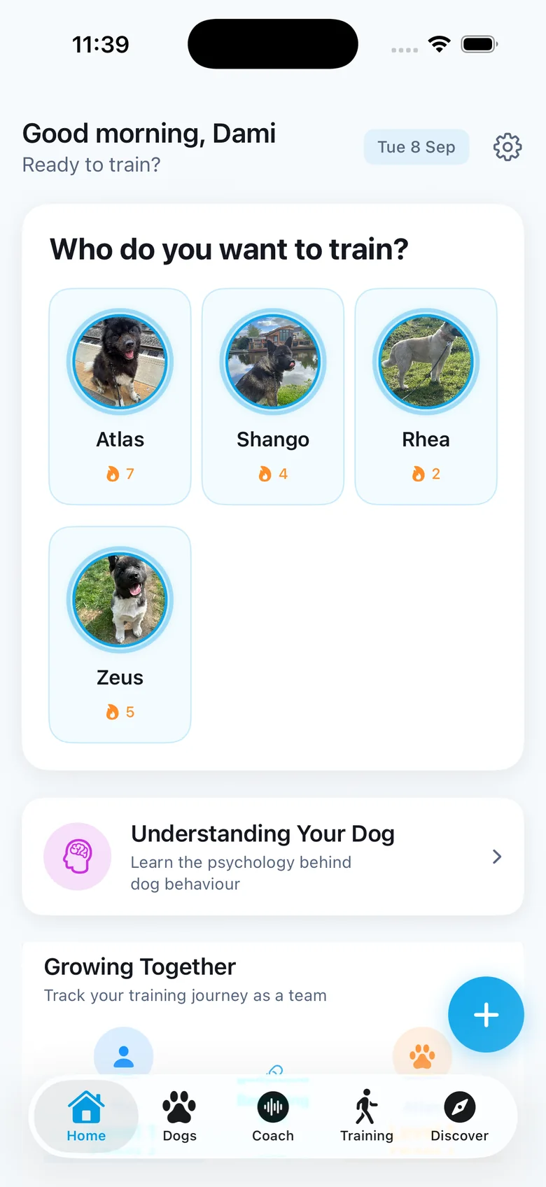 The app's Home screen: four dogs, Atlas, Shango, Rhea and Zeus, each with a training streak