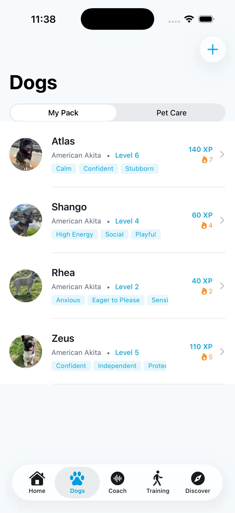 The pack: Atlas, Shango, Rhea and Zeus, four American Akitas with their traits, levels, XP and streaks